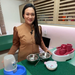 Acessórios e produtos no pet shop da Mundo Animal